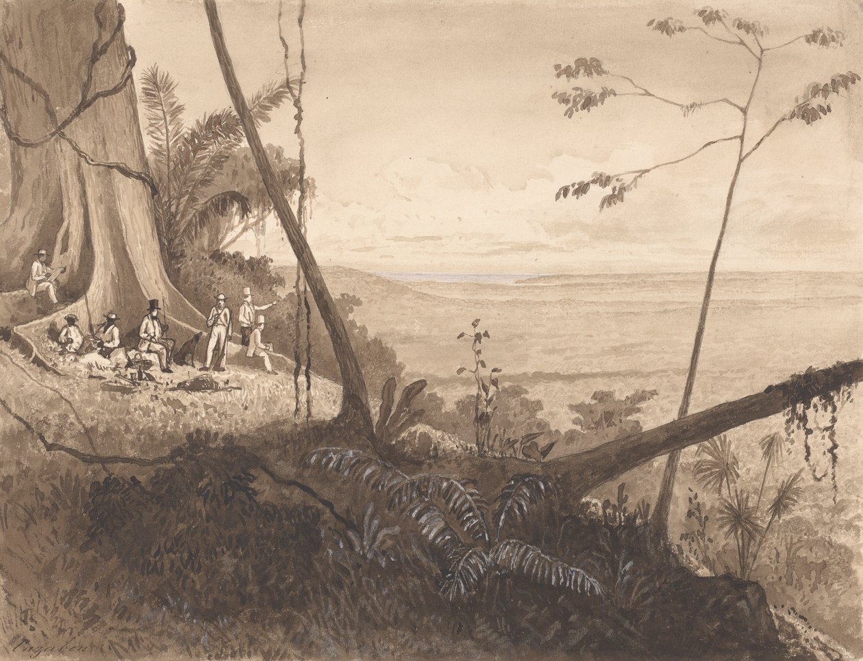 Cedar Point, Tamana Dağı by Michel Jean Cazabon