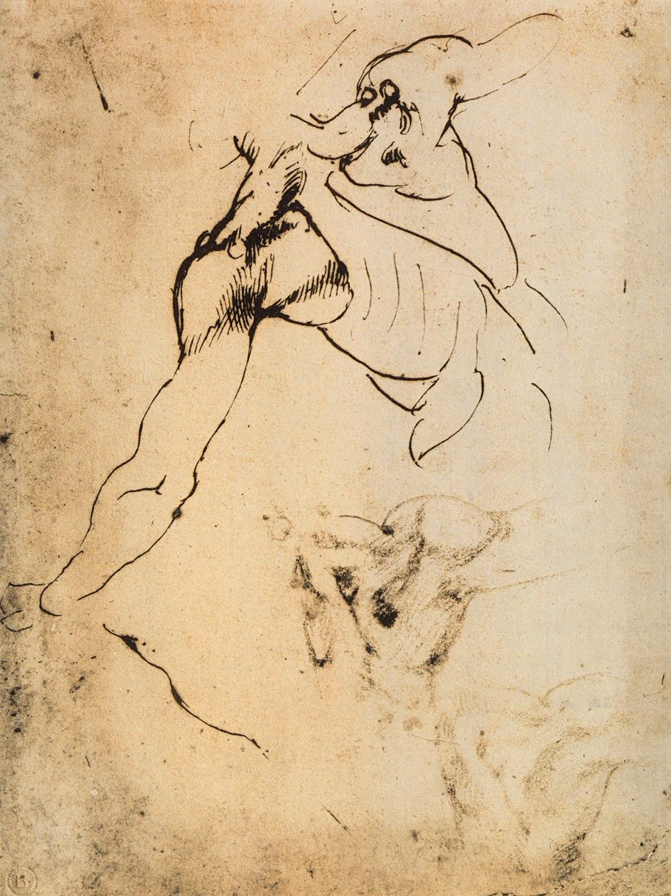 Erkek anatomik çalışma; Michelangelo