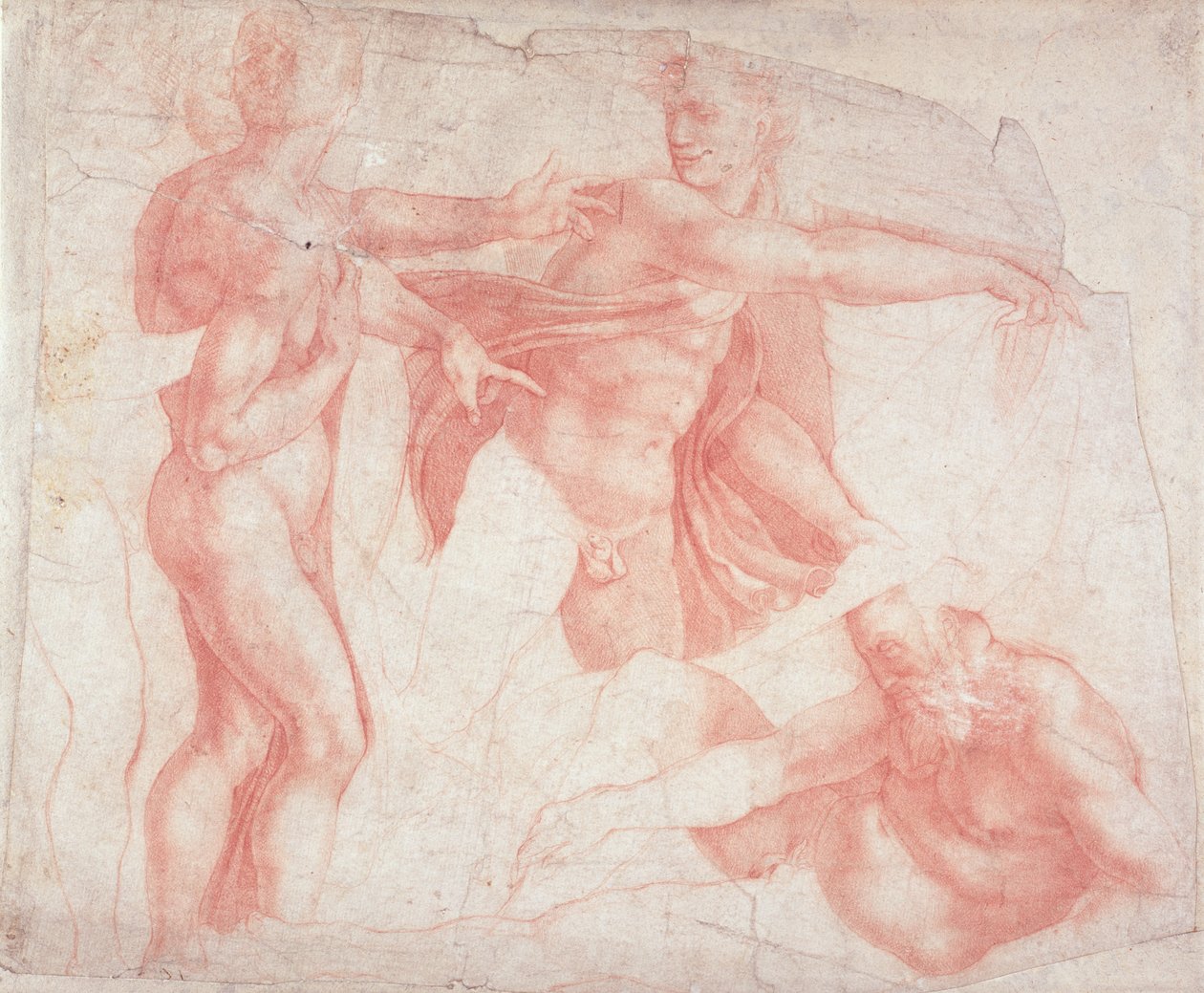 Çıplak Erkek Çalışmaları by Michelangelo Buonarroti