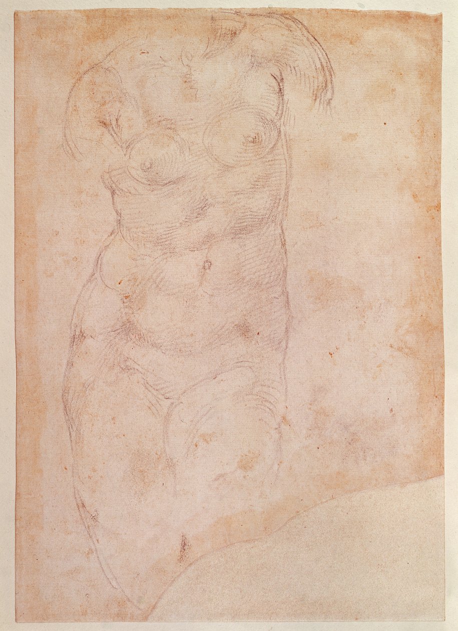 Çıplak Kadın Çalışması by Michelangelo Buonarroti