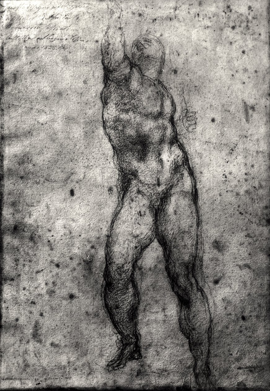Bir erkek çıplak çalışma by Michelangelo Buonarroti