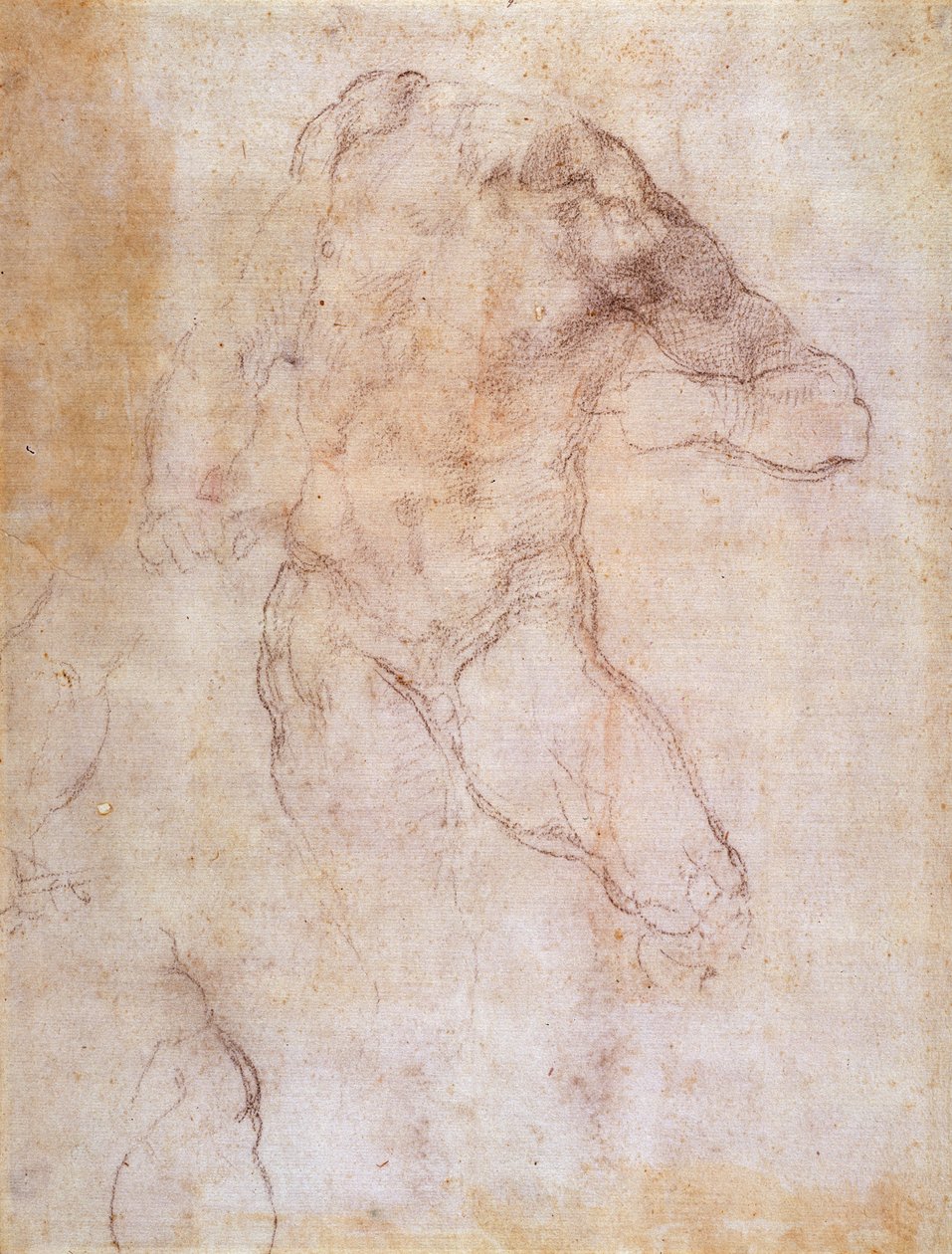 Bir erkek çıplak çalışma by Michelangelo Buonarroti