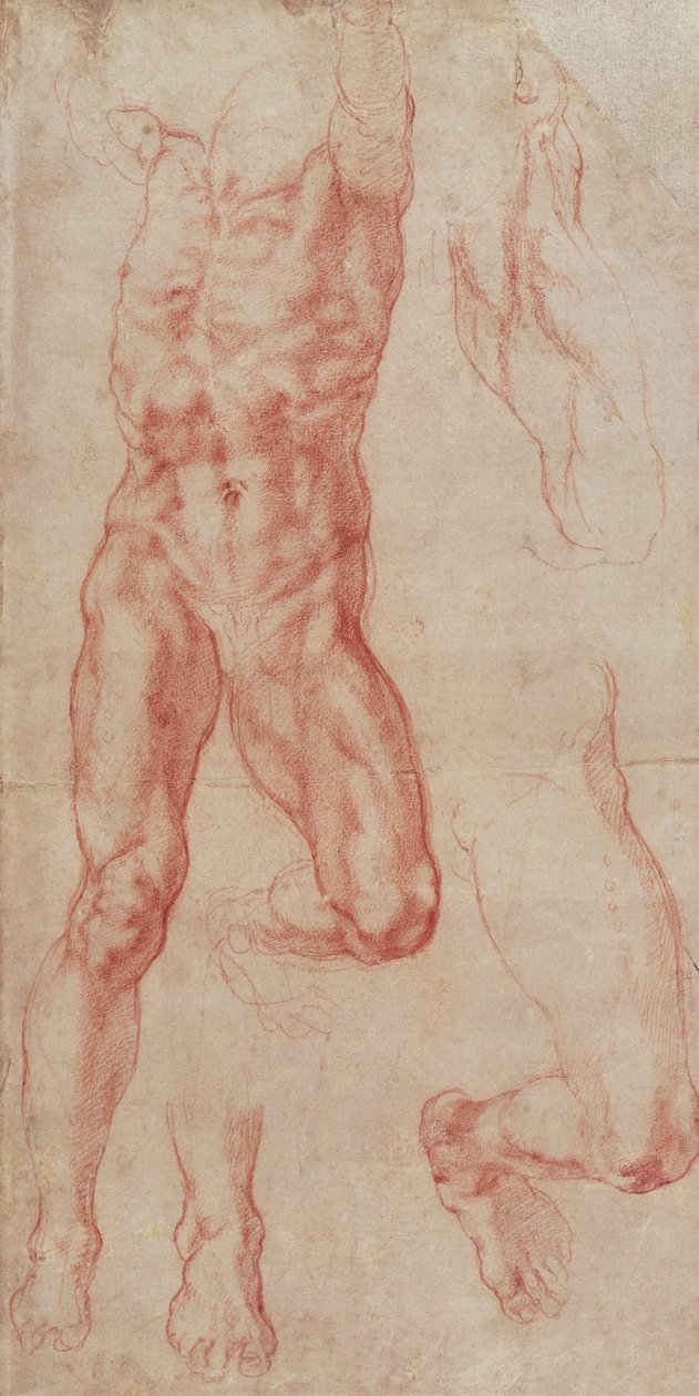 Yukarı doğru uzanan çıplak bir erkek çalışması by Michelangelo Buonarroti