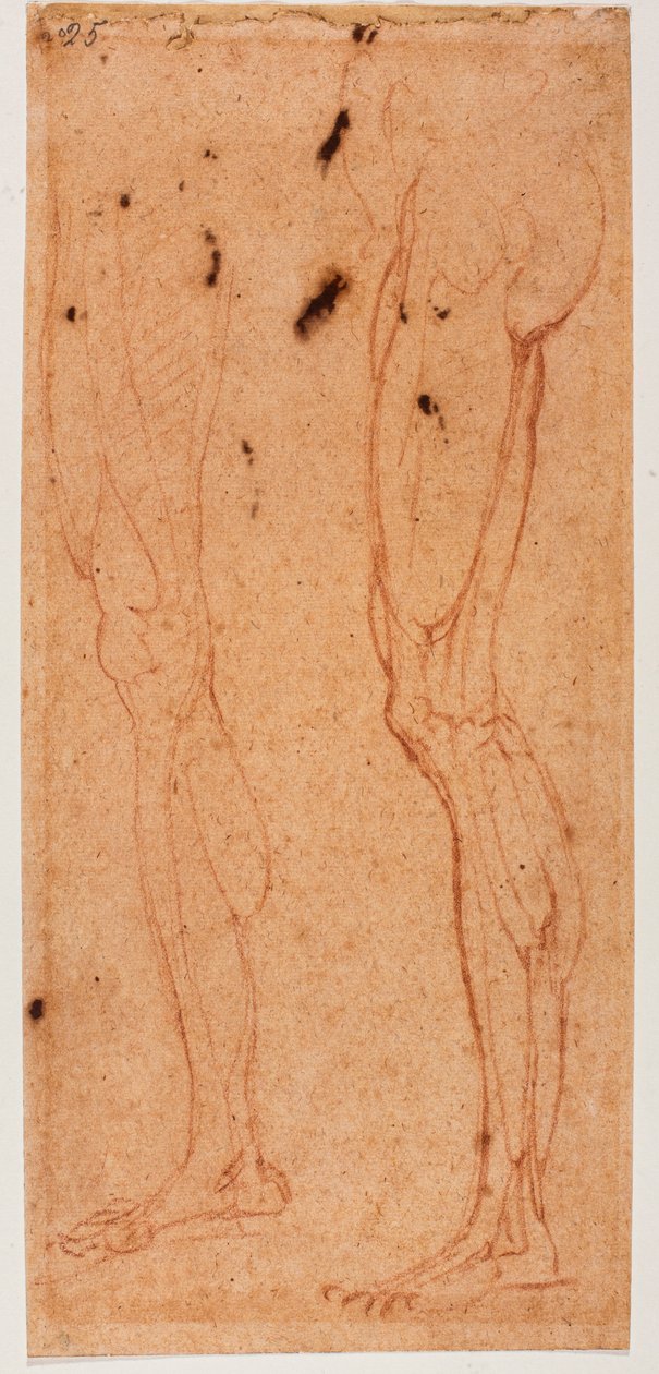  by Michelangelo (after) Buonarroti