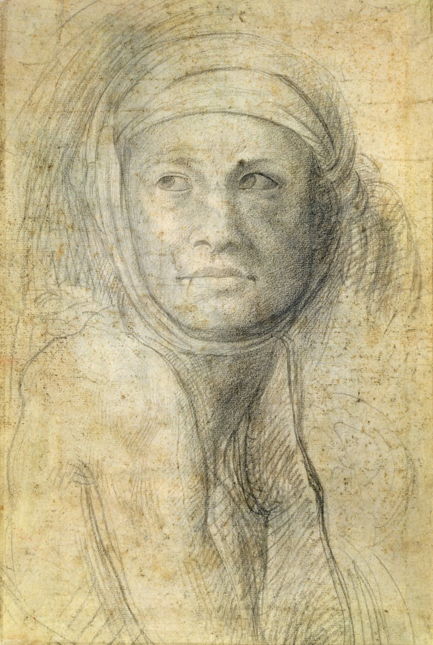 ಟರ್ಕಿಯ ಮಹಿಳೆಯ ಮುಖ್ಯಸ್ಥ by Michelangelo Buonarroti