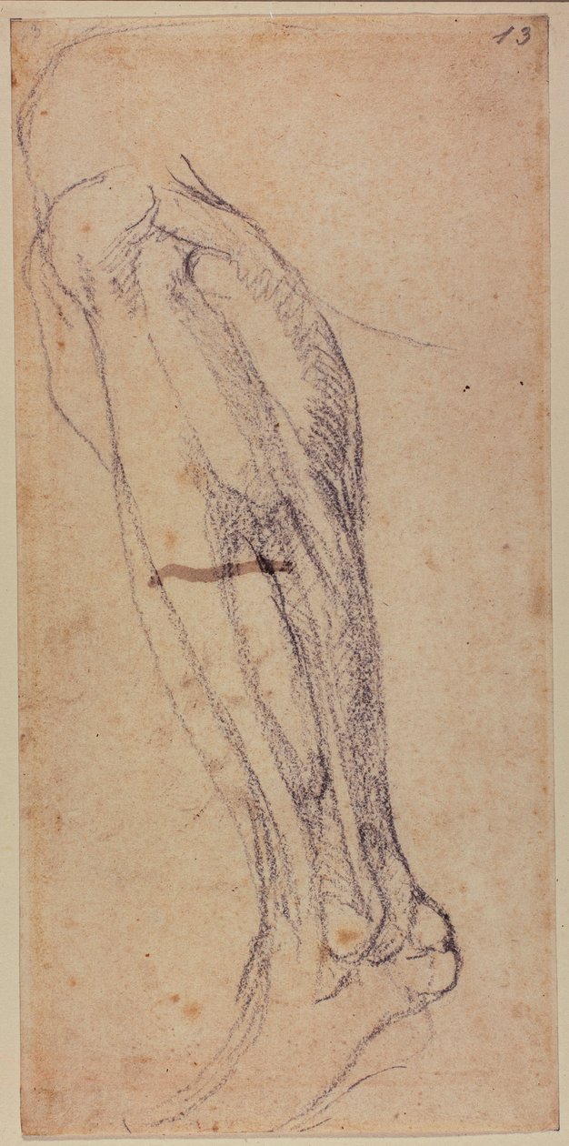  by Michelangelo Buonarroti