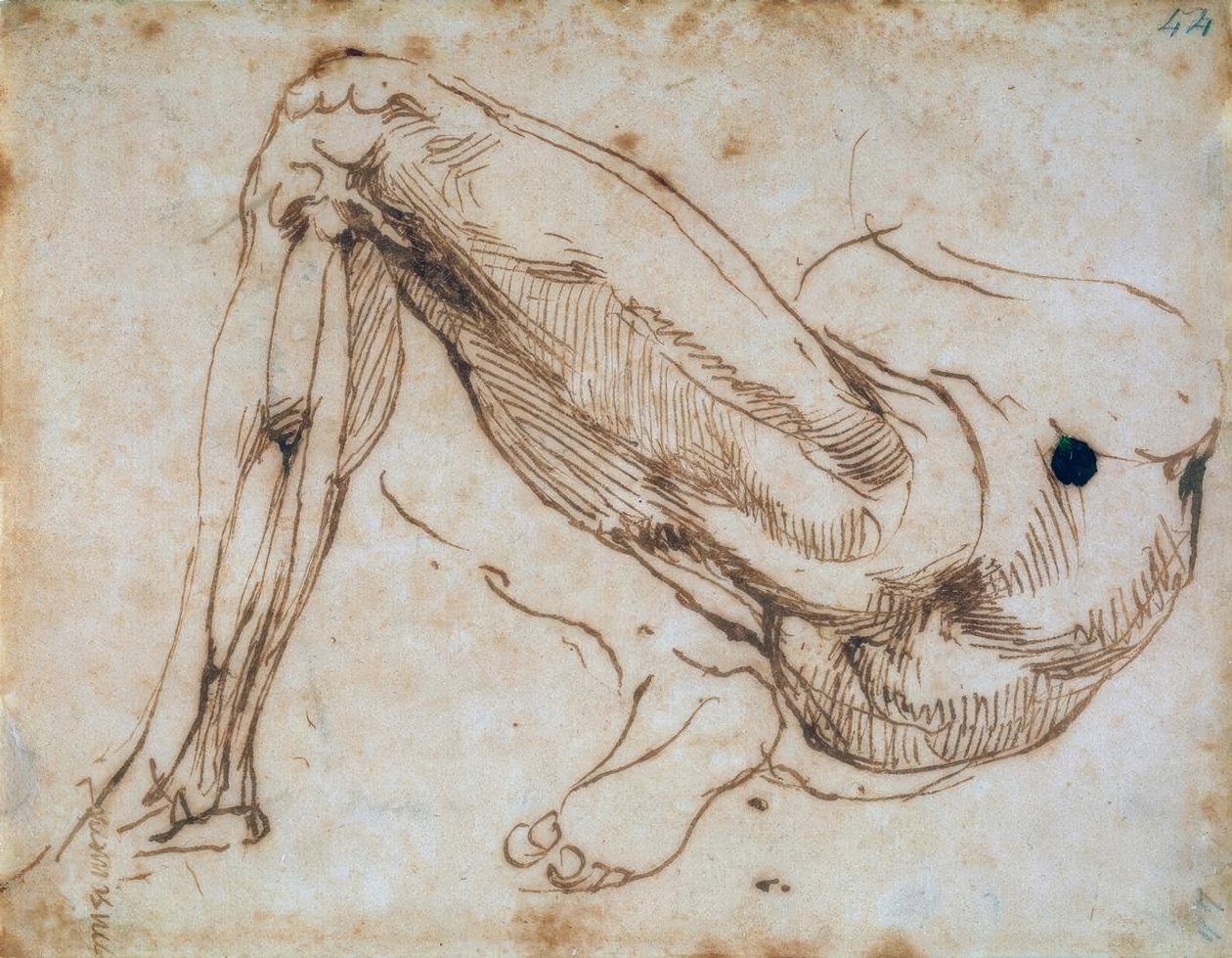 Bacak çalışması by Michelangelo Buonarroti