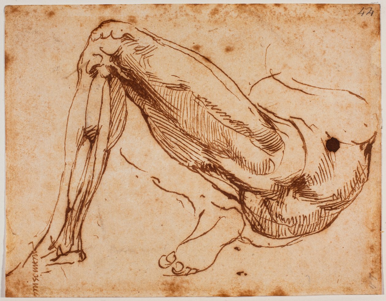 by Michelangelo Buonarroti