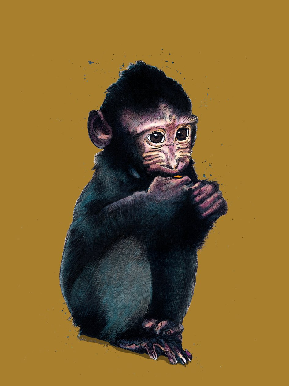Altın Sarısı Üzerine Bebek Makak, 2020 by Mike Davis