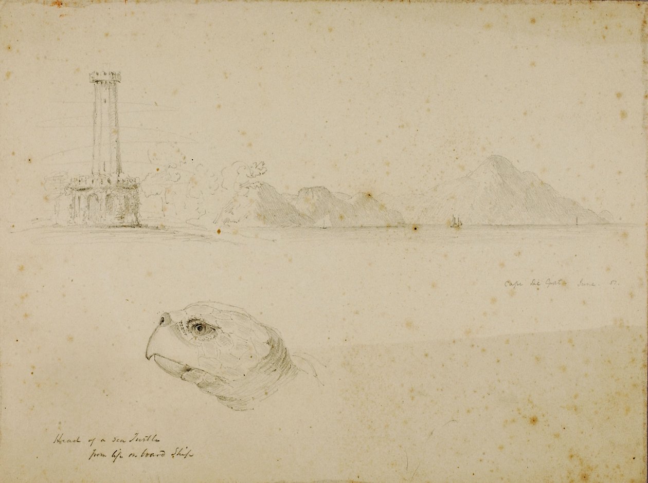  by Miner Kilbourne Kellogg