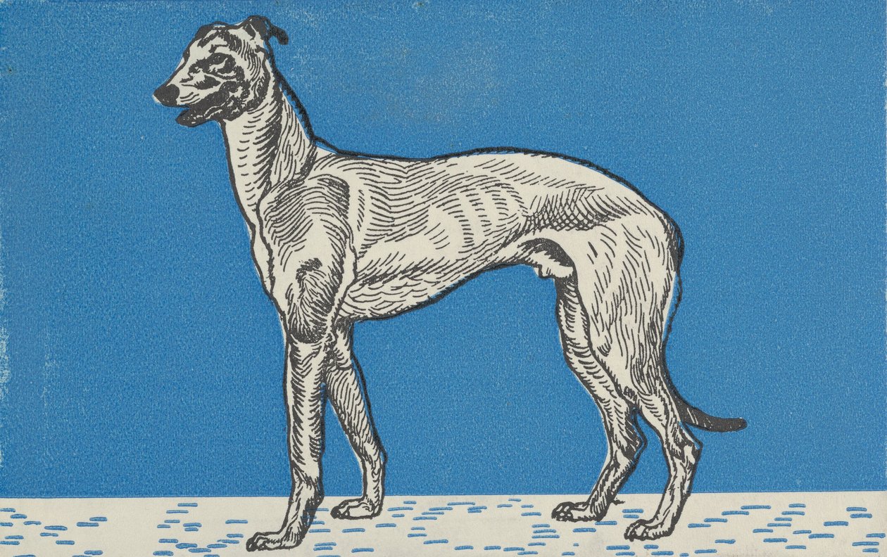 Tazı, 1912. by Moritz Jung