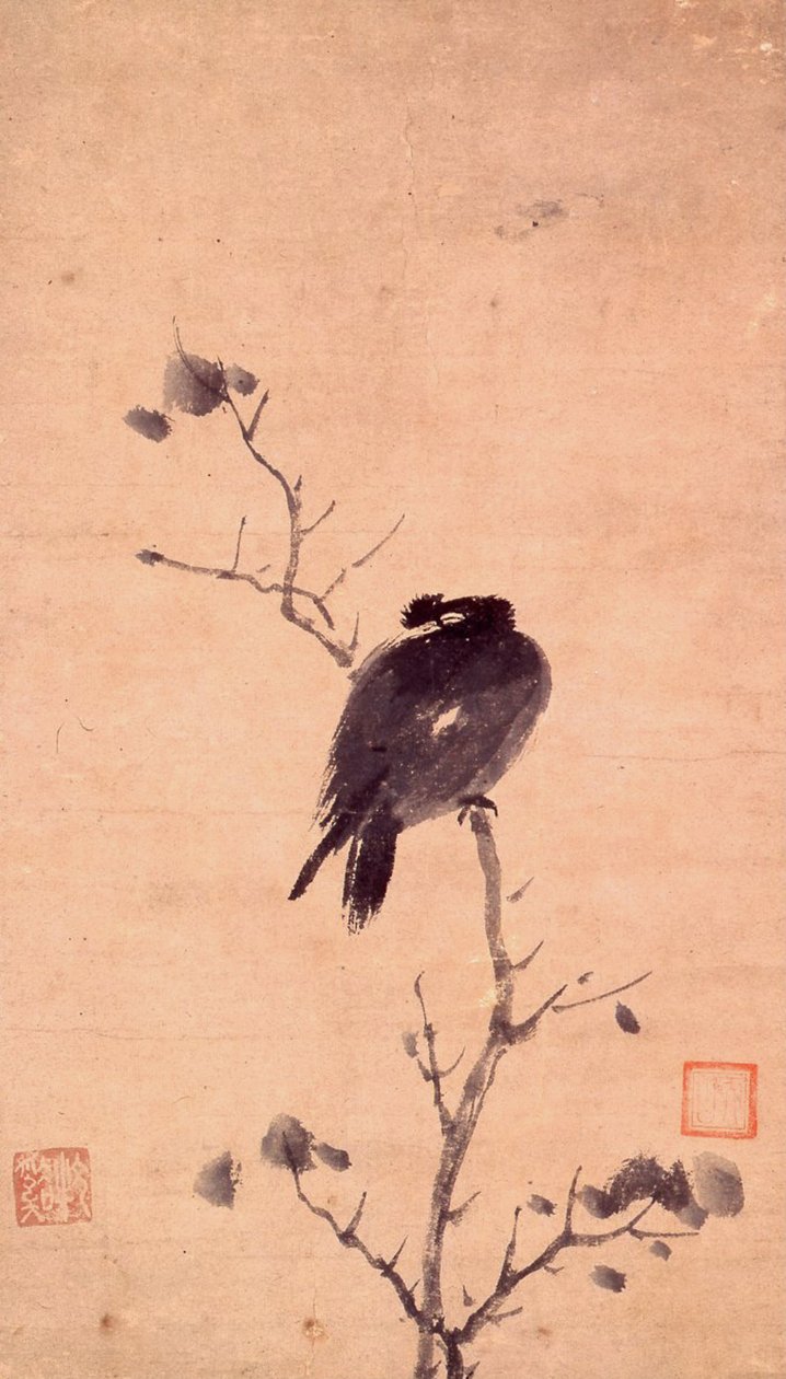 MYNA KUŞU by Mu Xi
