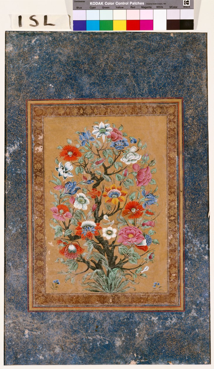 efsanevi bitki by Mughal School