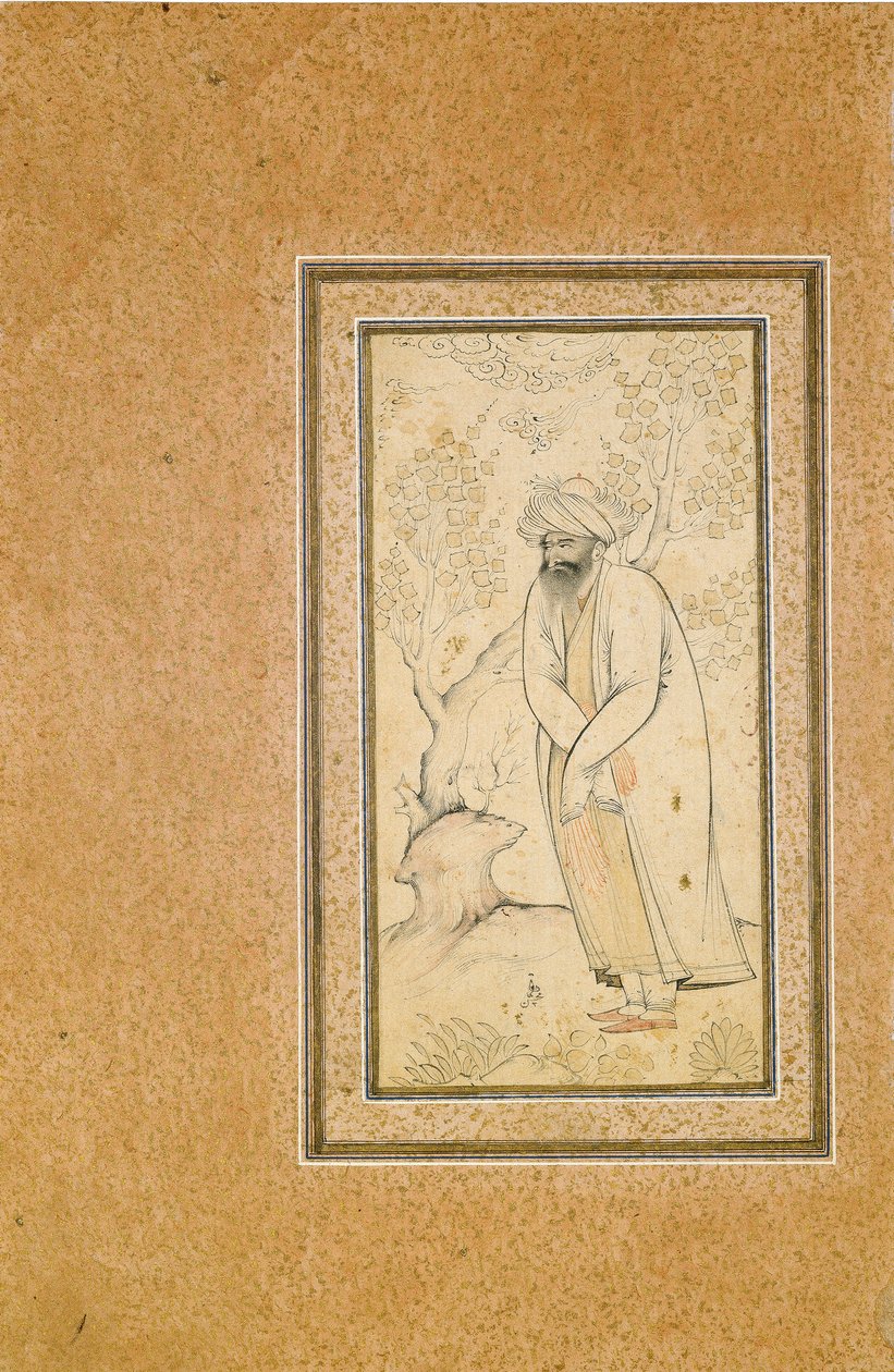 Ayakta Bir Derviş by Muhammad Muhsin