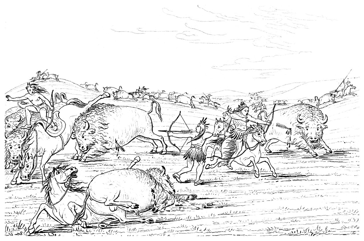 Yerli Amerikalılar bufalo avlıyor, 1841. by Myers and Co