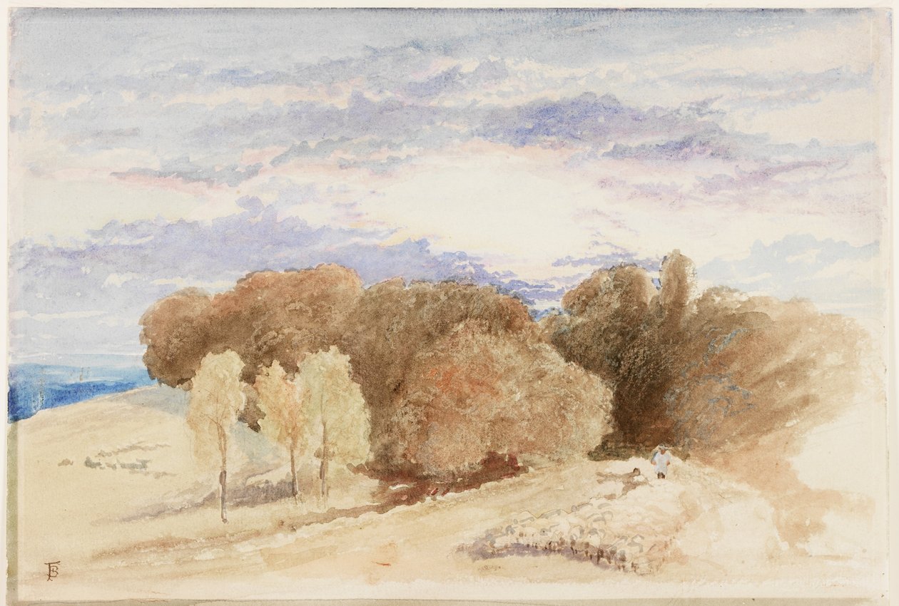 Arundel Park (kağıt üzerine kalem ve sulu boya) by Myles Birket Foster