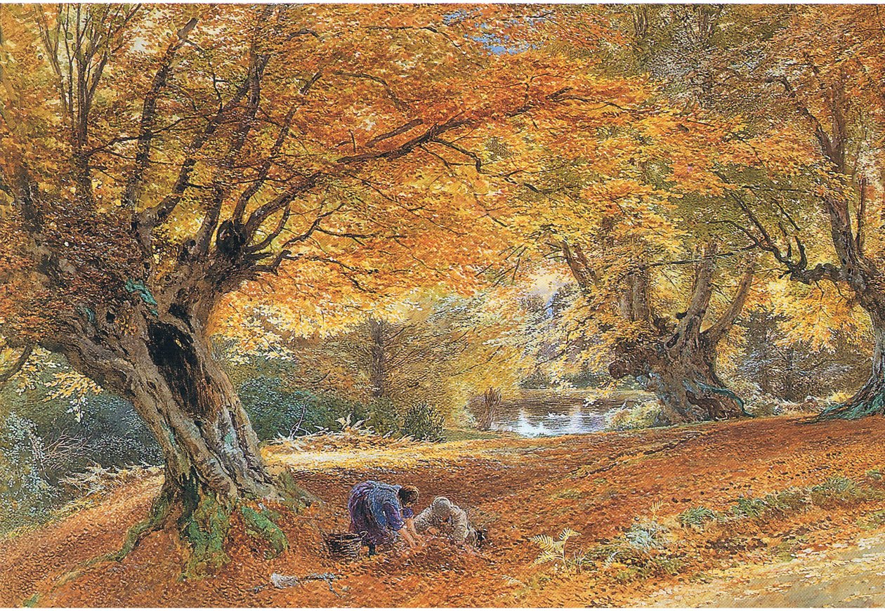 Burnham Kayınları by Myles Birket Foster