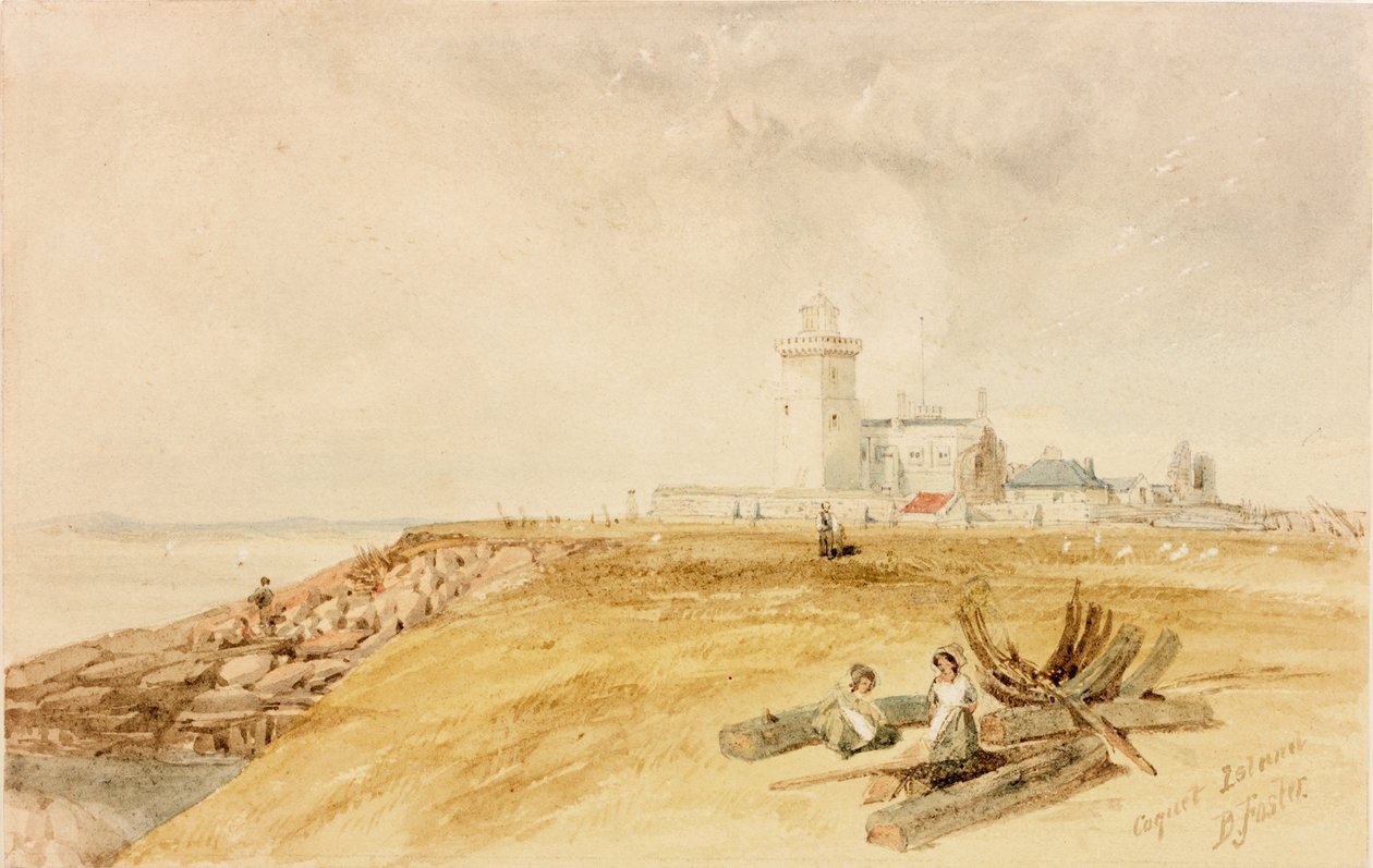 Coquet Island (kağıt üzerine kalem ve sulu boya) by Myles Birket Foster