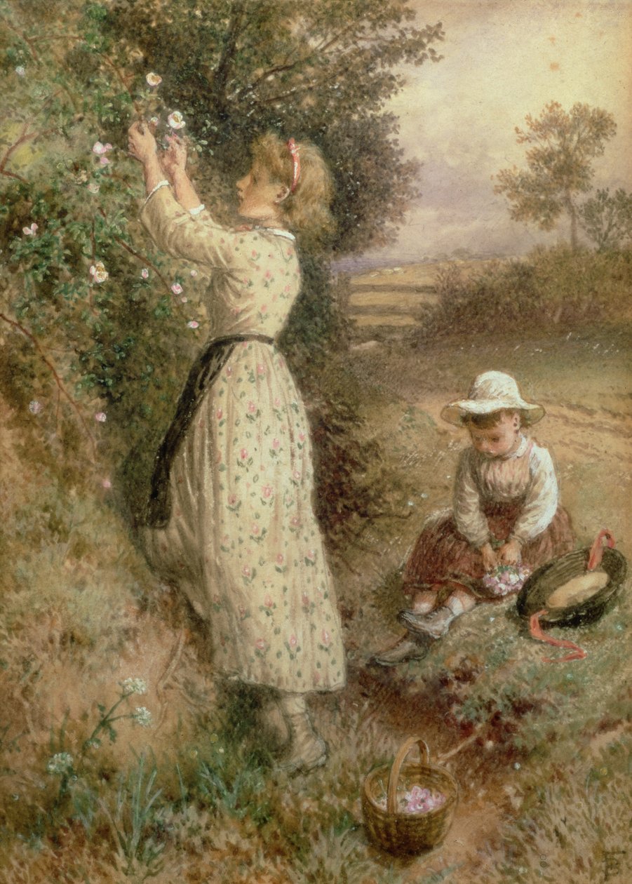 Yabani Güller by Myles Birket Foster
