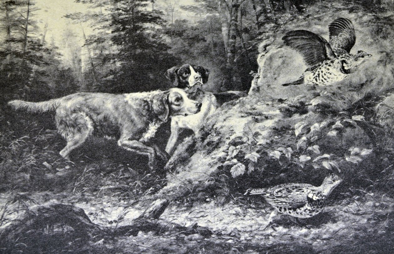 Currier & Ives İllüstrasyon 19. Yüzyıl. Amerikan Saha Sporları. Flushd (baskının yapıldığı Arthur Fitzwilliam Tait, N.A. tarafından orijinal yağlı boya tablo. by N. and Ives, J.M. Currier