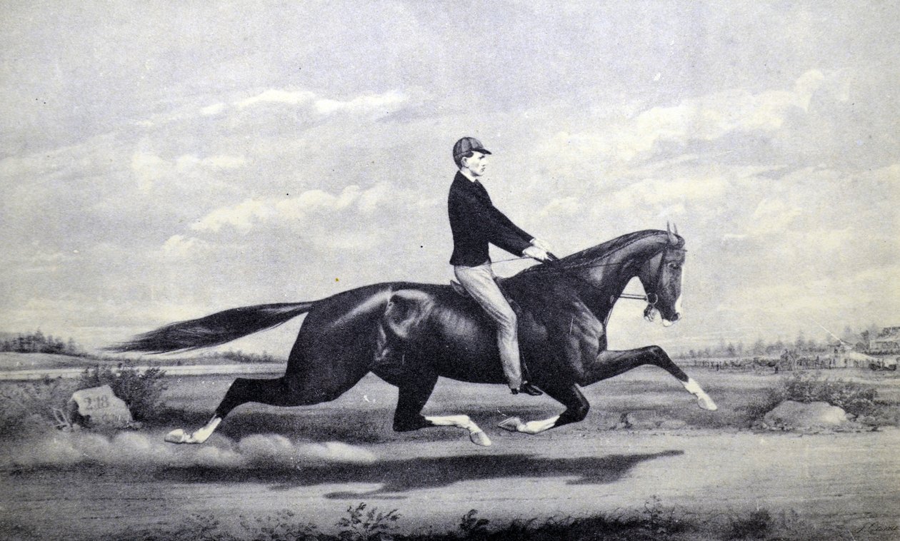 Currier & Ives İllüstrasyon 19. Yüzyıl. Ünlü at Dexter Çim Kralı by N. and Ives, J.M. Currier