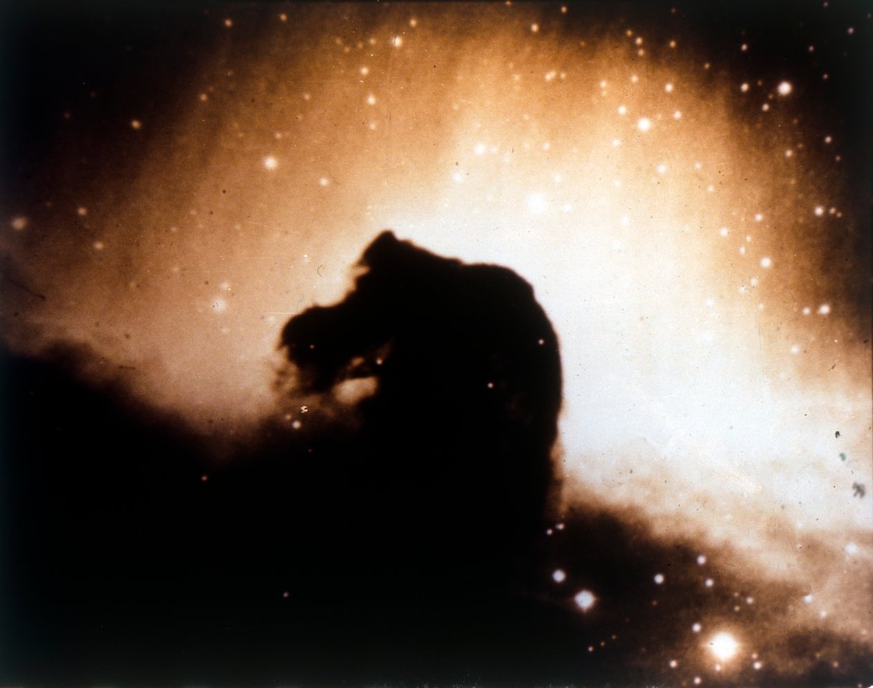 Orion