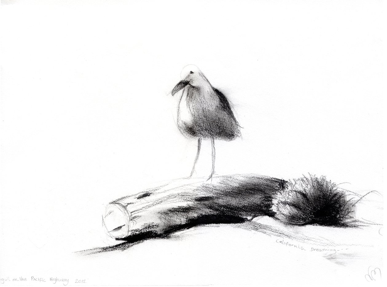 California Seagull, 2012, (kağıt üzerinde kömür) by Nancy Moniz Charalambous