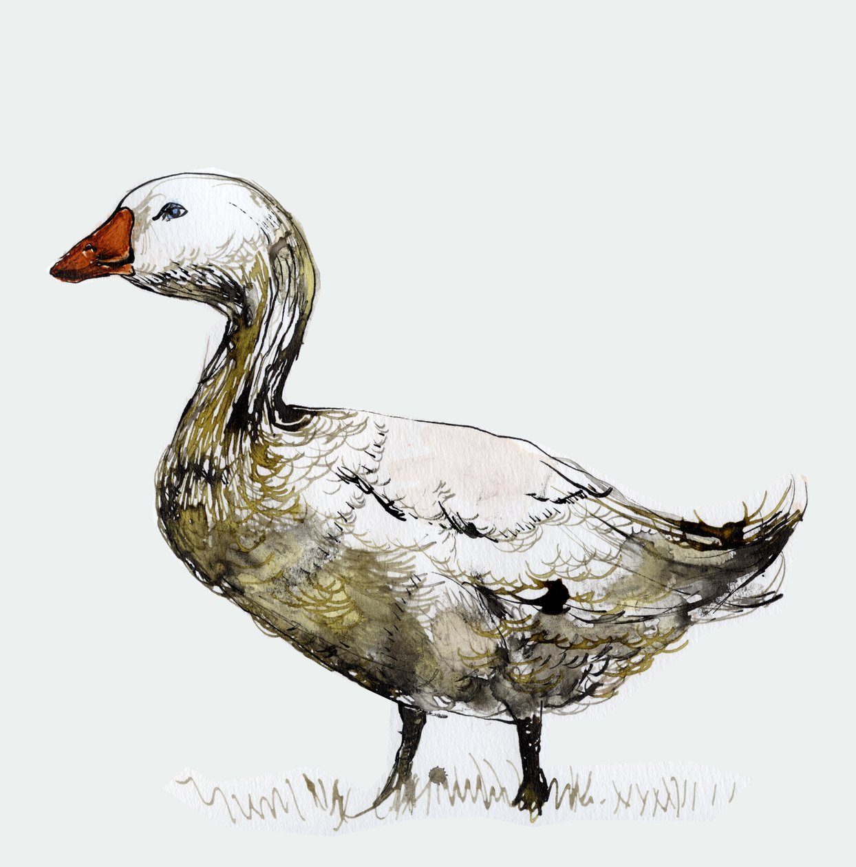 Pis Kaz, 2017, (kağıt üzerine mürekkep) by Nancy Moniz Charalambous
