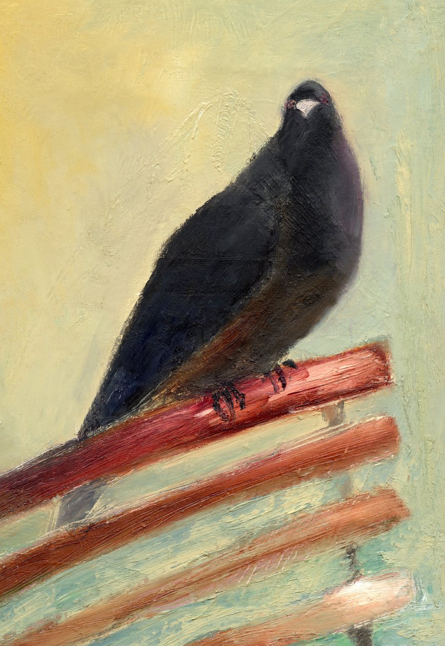 Kingly Court Güvercini, 2013, by Nancy Moniz Charalambous