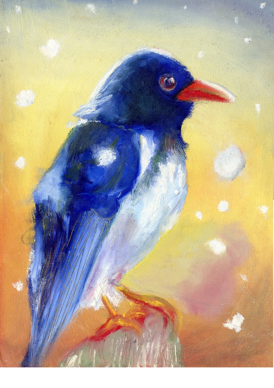 Kar damlaları ile Red Billed Magpie , 2012, by Nancy Moniz Charalambous