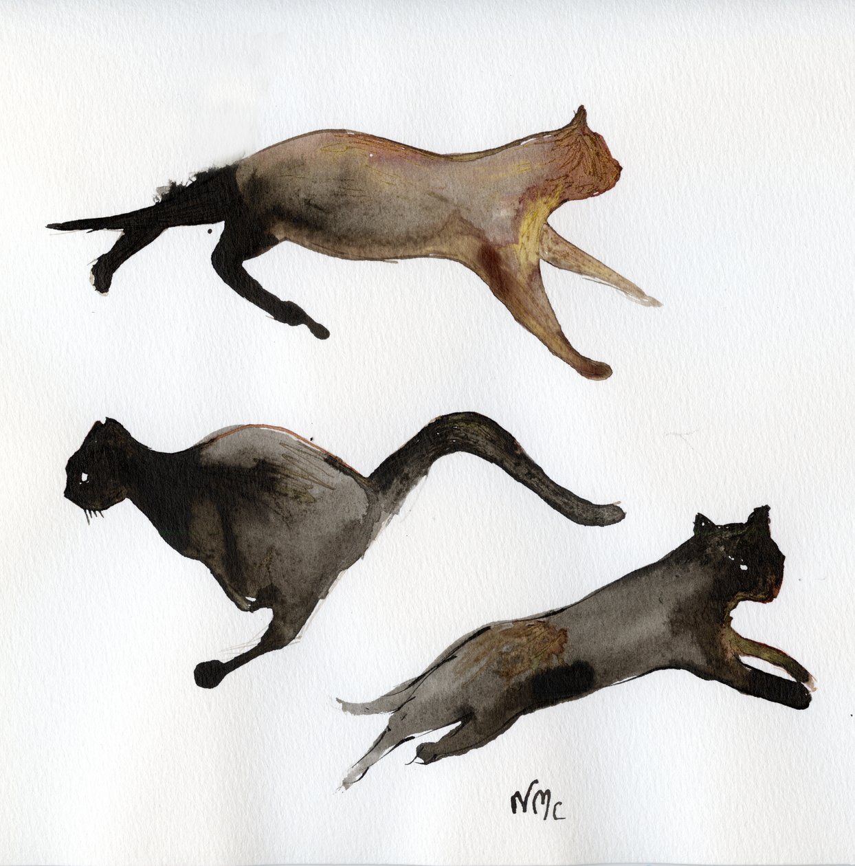 Run Cat Run, 2017, (kağıt üzerine mürekkep) by Nancy Moniz Charalambous