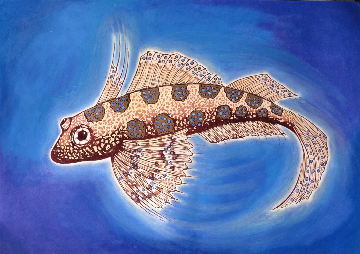 Dragonet Fish, 1999 (gravür baskı ve karışık teknik) by Nat Morley