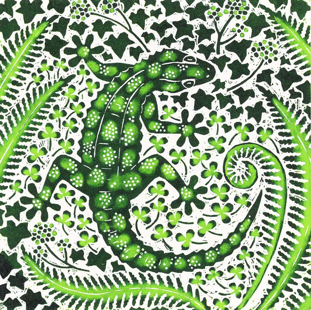 Yeşil Geko, 2002 by Nat Morley