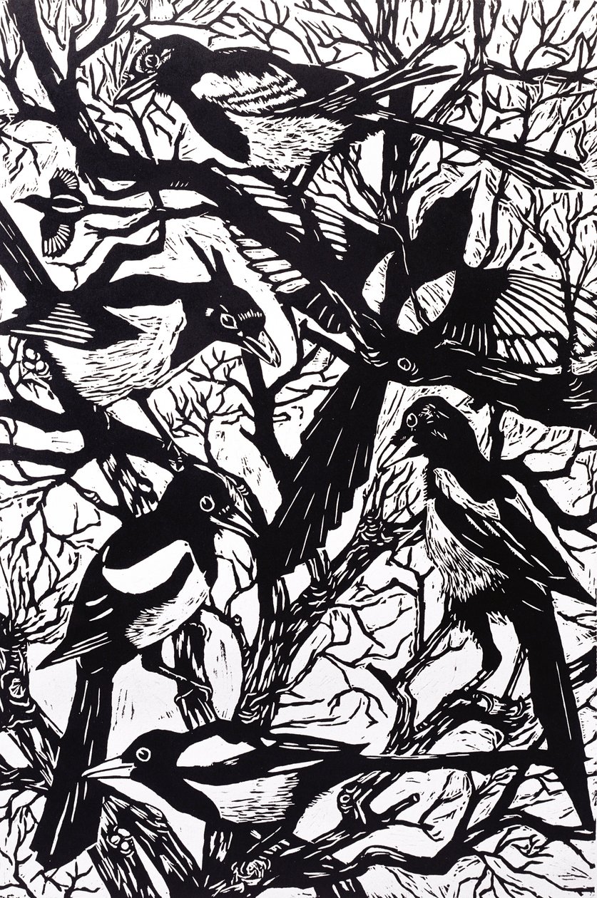 saksağan, 1997 by Nat Morley