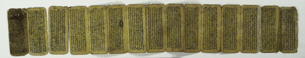 Bir akordeon el yazması (kağıt üzerinde opak wc) by Nepalese School