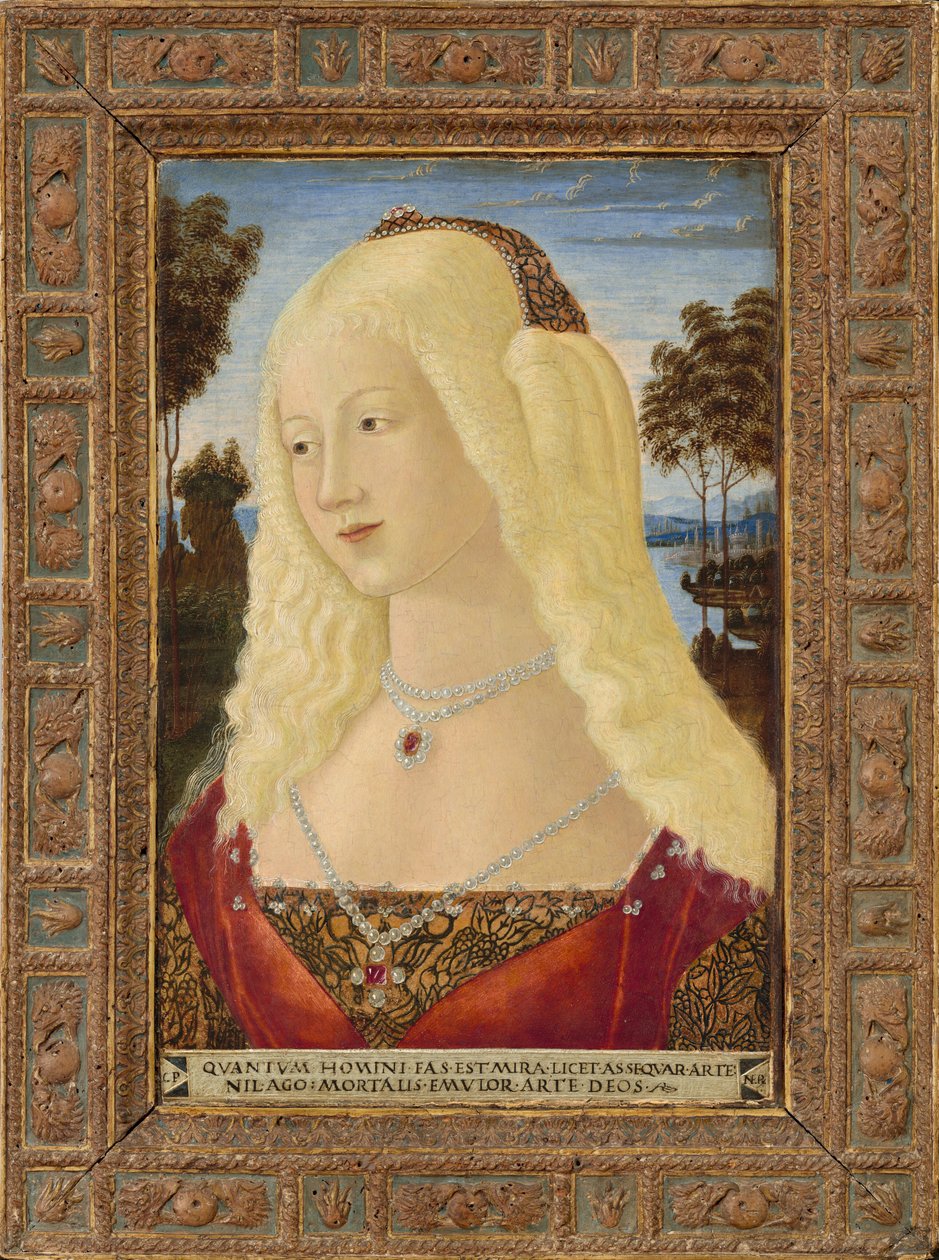 Bir Bayan Portresi by Neroccio de