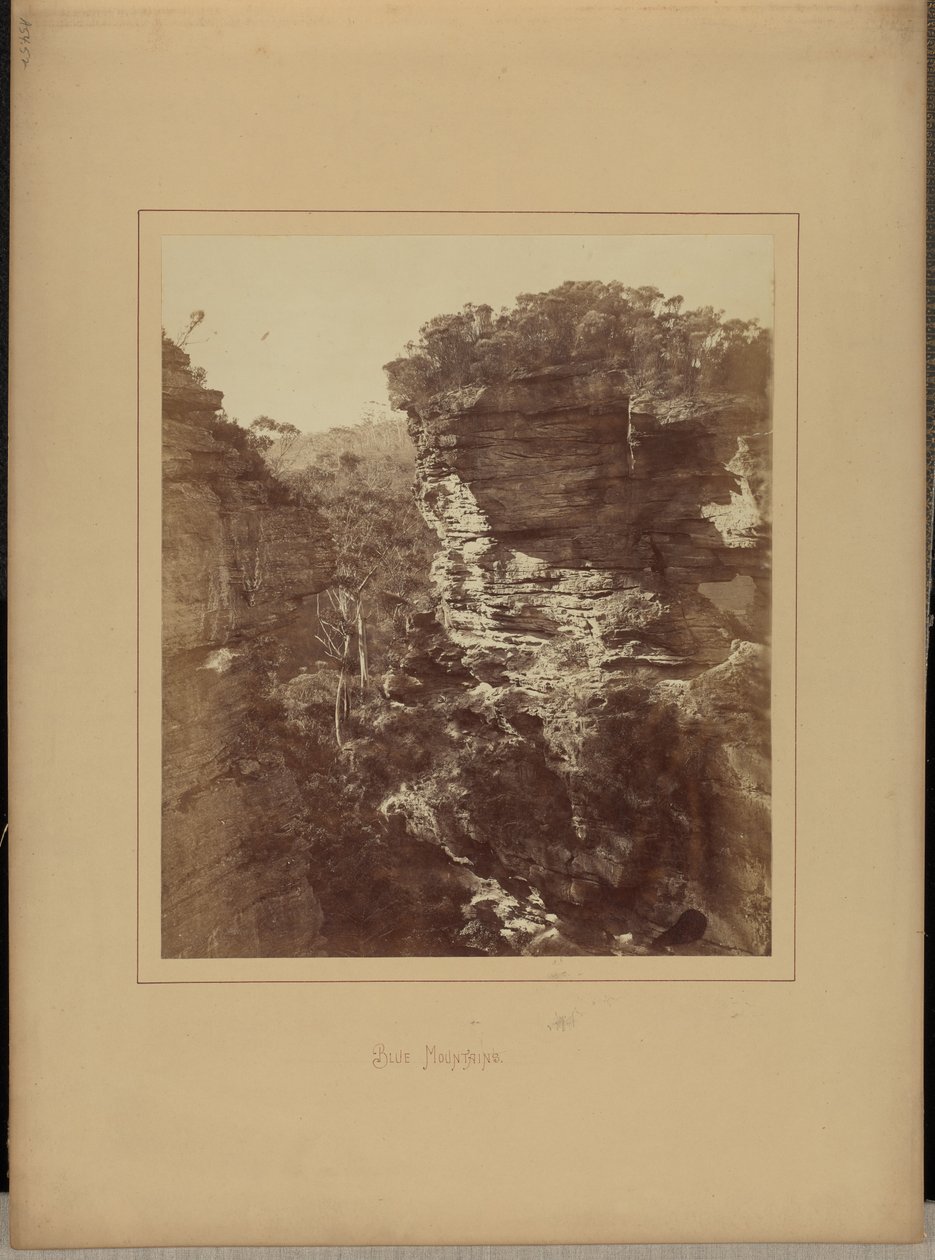  by New South Wales Government Printing Office