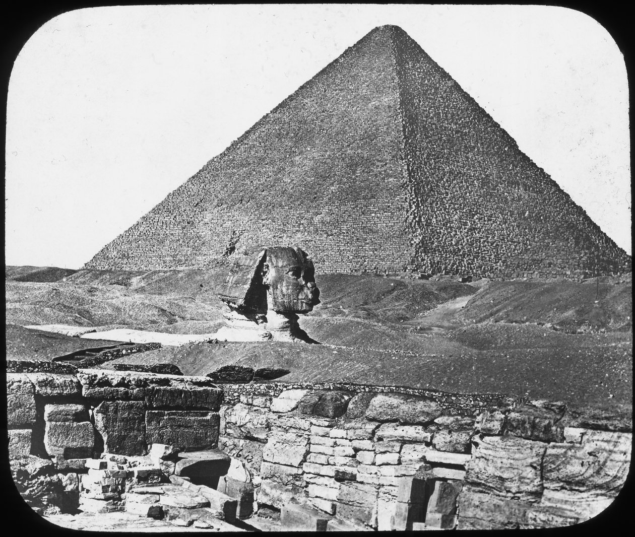 Büyük Giza Sfenksi, Mısır, c1890. by Newton and Co