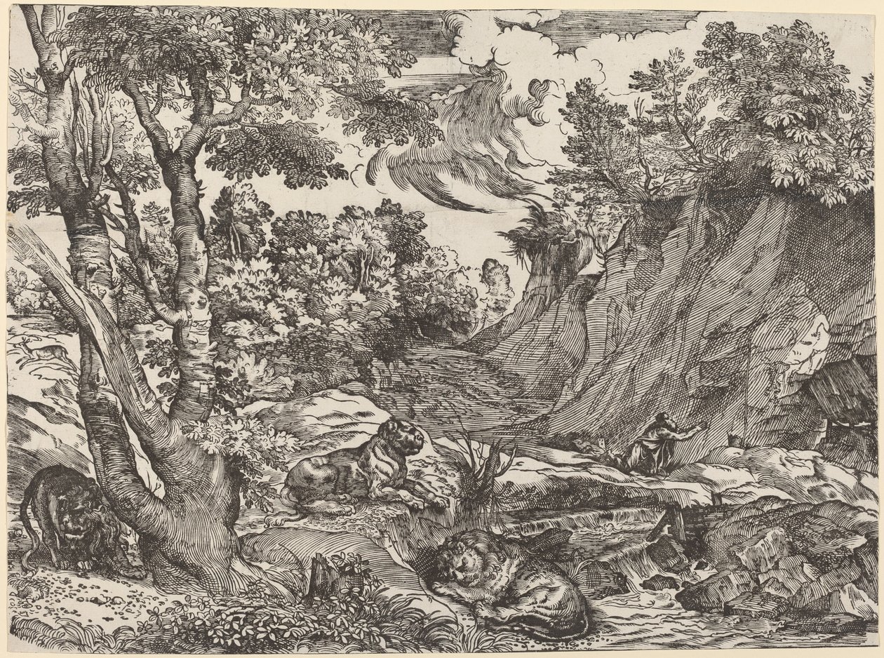 Vahşi Doğada Aziz Jerome by Niccolò Boldrini after Titian