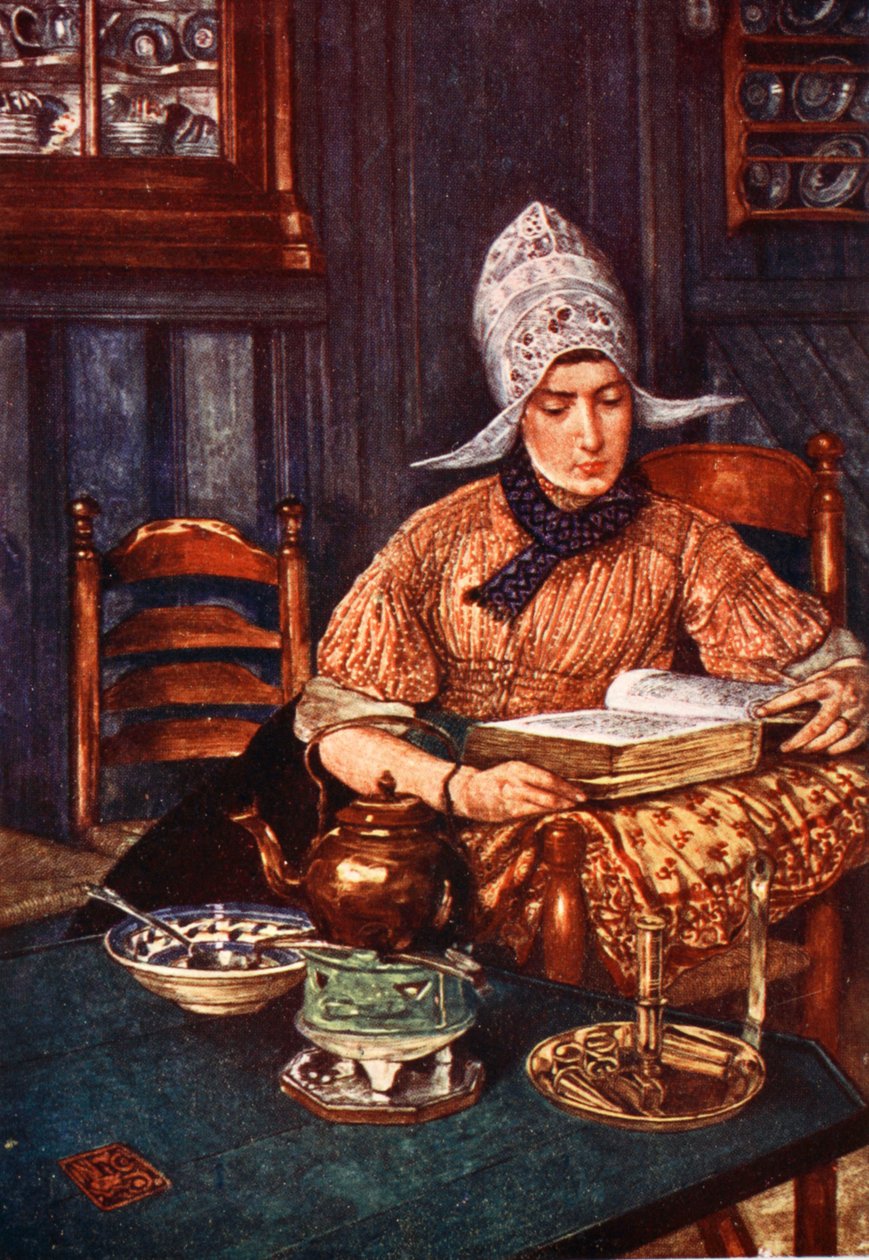 Kitap okuyan kadının olduğu iç mekan ﻿1904  by Nico Jungman