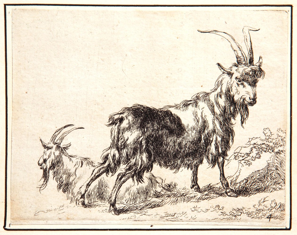 ಆಡುಗಳು ಉರ್ಕ್ by Nicolaes Pietersz. Berchem