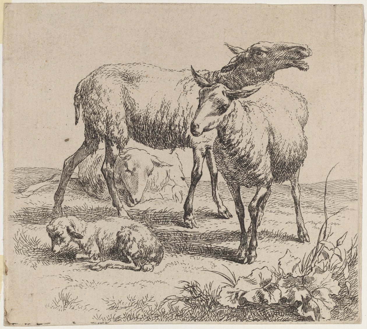 Üç Koyun ve Kuzu. by Nicolaes Berchem
