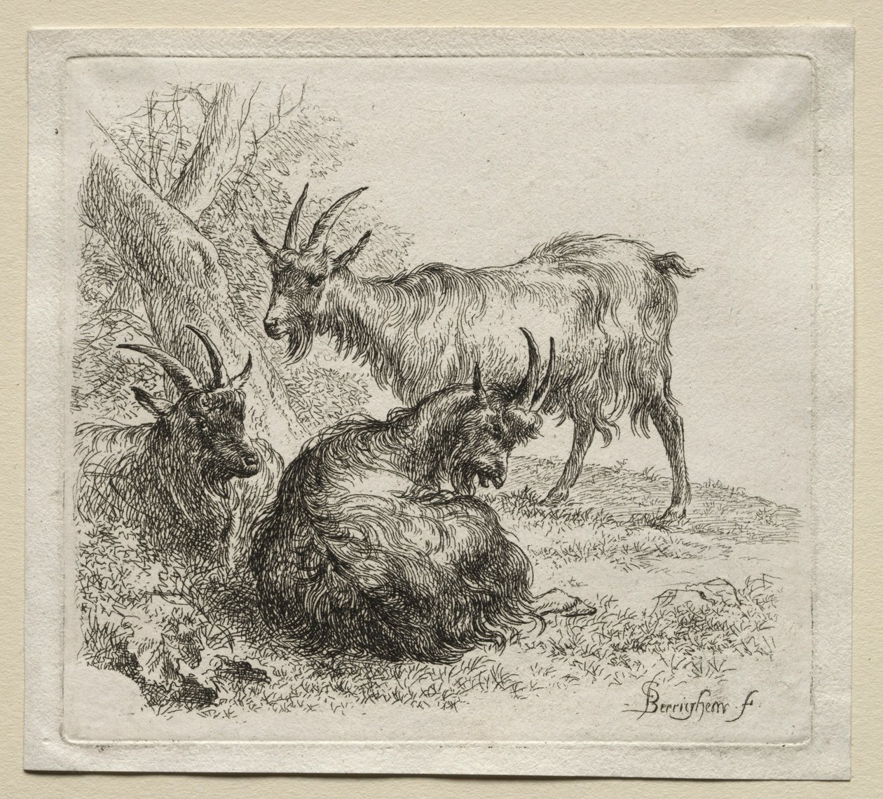 Üç Keçi. by Nicolaes Pietersz. Berchem