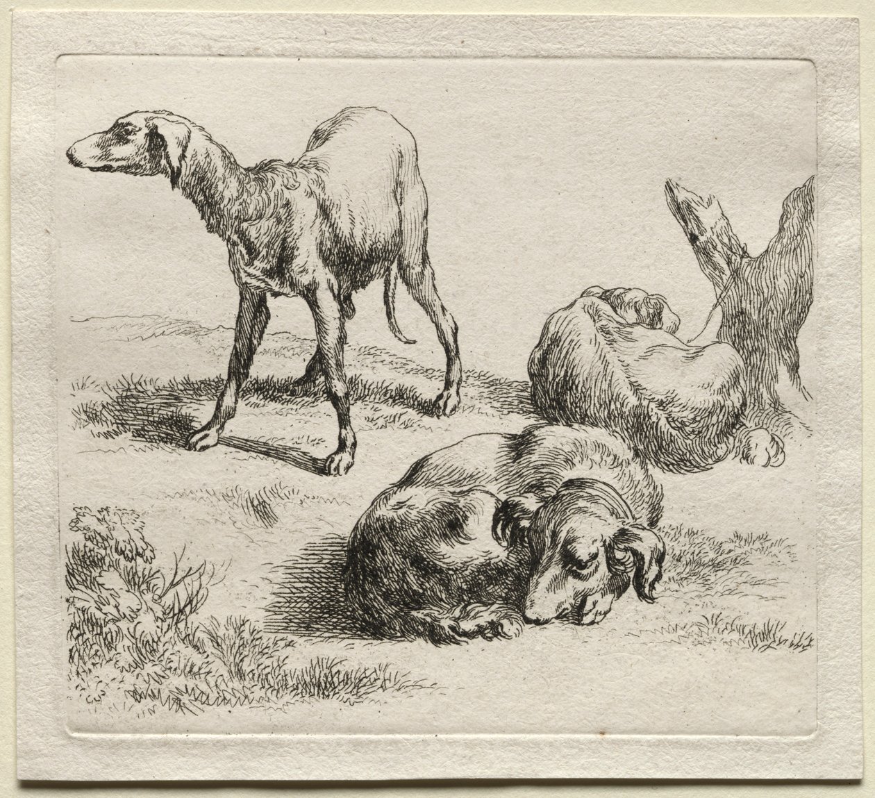 Üç Av Köpeği. by Nicolaes Pietersz. Berchem