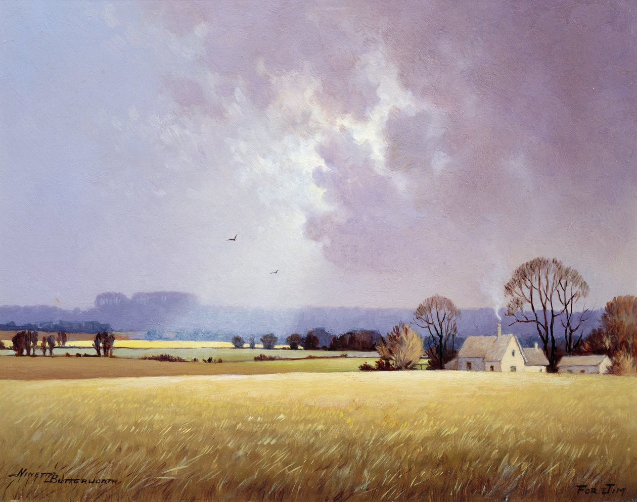 Sonbahar Güneş Işığı, 1982 by Ninetta Butterworth