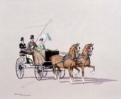 Örümcek Fayton, 1972 by Ninetta Butterworth