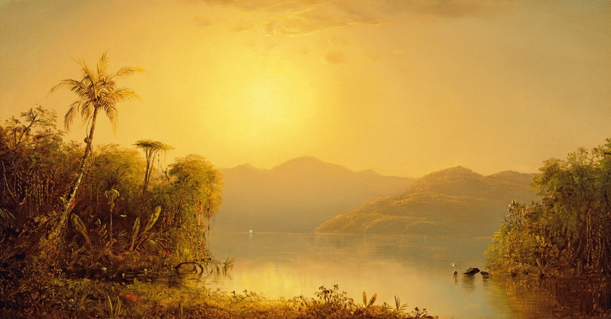 ದಕ್ಷಿಣ ಅಮೆರಿಕಾದ ಉಷ್ಣವಲಯ, 1870 ಟರ್ಕ್ by Norton Bush