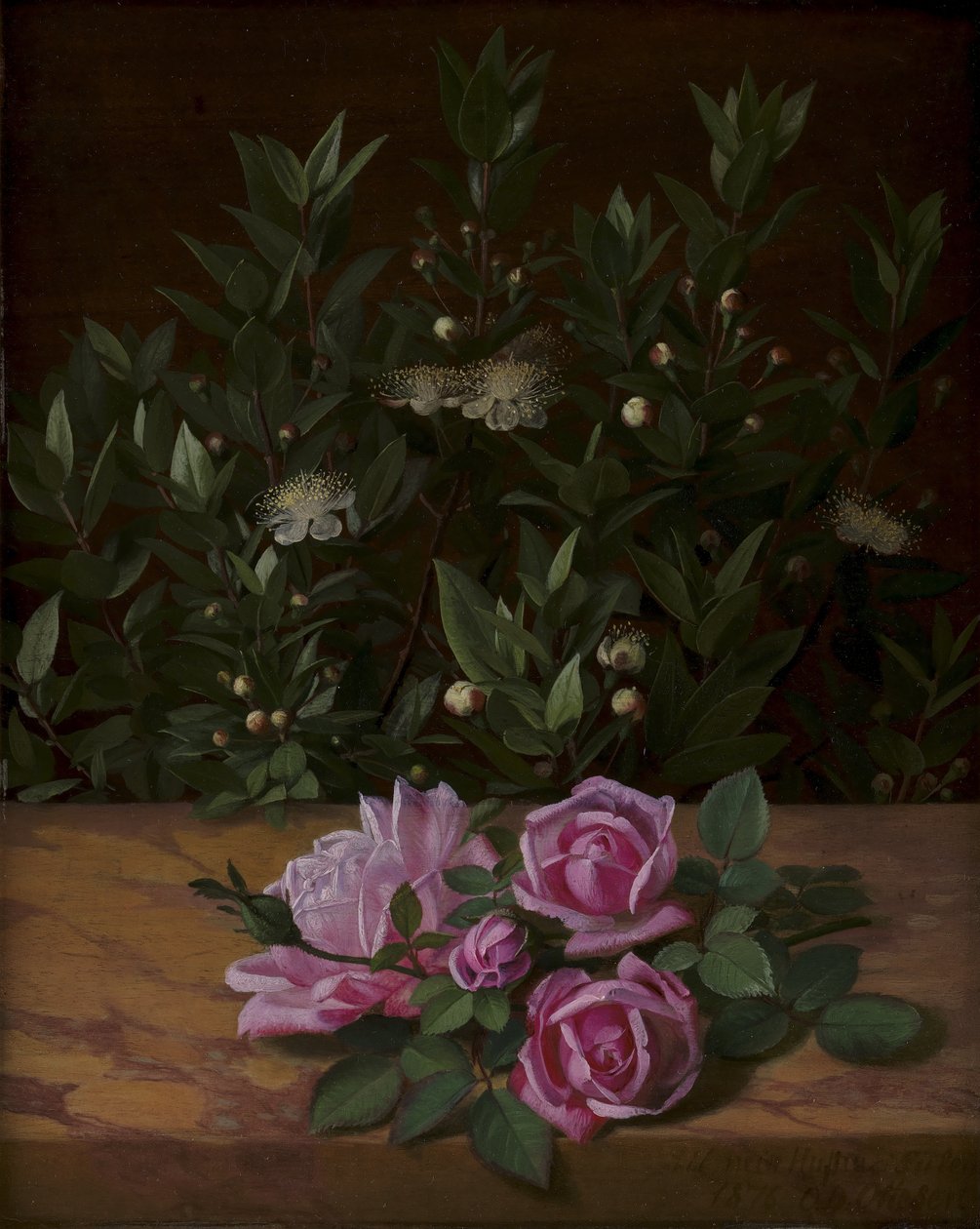 güller ve mersinler by O.D. Ottesen
