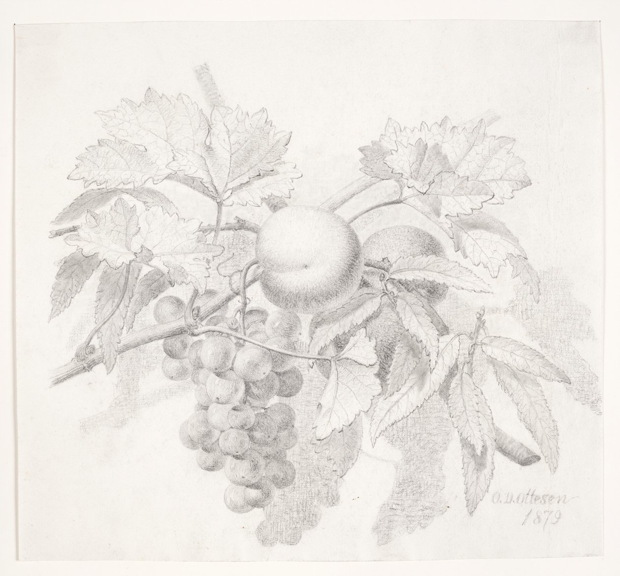 Üzüm ve şeftali by O.D. Ottesen