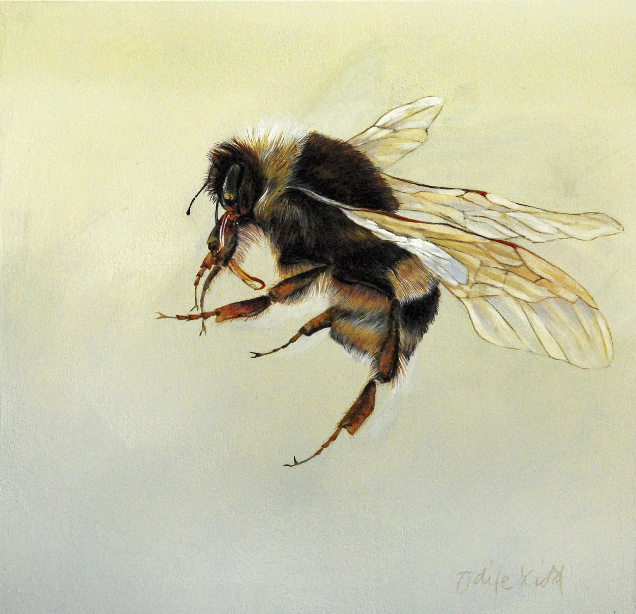  by Odile Kidd